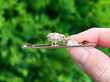 Antique Chick and Egg Bar Brooch Outside