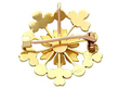 back of ruby and pearl brooch 