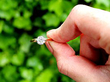 Diamond Solitaire Ring