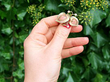 Antique Hot Enamel Brooch for sale 