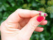 Victorian Ruby and Diamond Gold Ring
