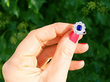Cushion Cut Sapphire and Diamond Ring Outside