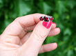 Antique Garnet Dress Ring 