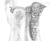 Antique American Coin Silver Jug