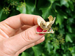 Vintage Bird Brooch with Gemstones