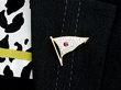 Wearing Ruby and Diamond Flag Brooch