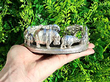 Silver Wine Coasters Animal Theme
