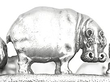 Silver Wine Coasters Animal Theme