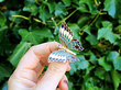 Vintage Butterfly Brooch Movable Wings