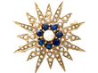 Victorian Style Pearl Star Brooch