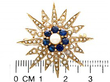 Victorian Style Pearl Star Brooch