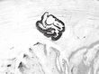17th Century Silver Goblet Hallmarks