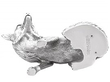 Sterling Silver Fox Boxes UK