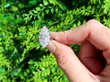 Diamond and Platinum Marquise Cluster Ring Outside