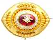  Antique Garnet Brooch in Yellow Gold 