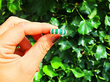 Vintage Emerald Band Ring