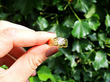 Mens Solitaire Diamond Ring Gold
