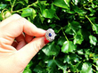 Blue Sapphire and Diamond Ring 