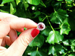 Unheated Ruby Engagement Ring
