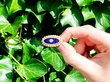 Blue Enamel and Pearl Brooch