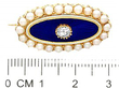 Blue Enamel and Pearl Brooch