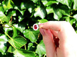 Non Heat Treated Ruby Ring outside