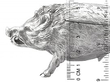 Silver Pig Vesta Case