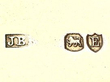 Silver Pig Vesta Case