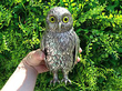 Sterling Silver Owl Ornament Outside