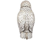 Sterling Silver Ornament 1900s