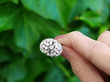 White Gold dress Ring