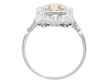 Fancy Coloured Diamond Ring Platinum setting