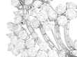 1960s Diamond Brooch in Platinum