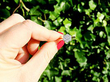 Floral Diamond Ring Antique outside