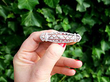 Antique Diamond Brooch 