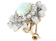 Antique Opal Brooch / Pendant