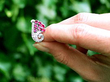 Ruby and Diamond Antique Earrings Outside 