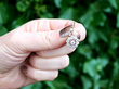 Antique Diamond Drop Earrings