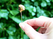 Antique Indian Chief Tie Pin Outside