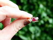 Edwardian Ruby and Diamond Ring 