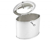Antique Georgian Tea Caddy Silver open
