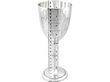 1870s Silver Goblet
