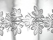 1870s Silver Goblet