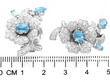 aquamarine earring