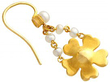 Antique 1890s Earrings 