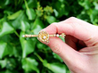 Antique Seed Pearl Brooch Gold