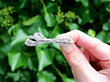 Platinum and Diamond Bow Brooch