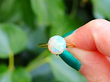 19th Century Opal Ring for Sale Outside 