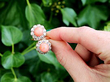 Coral and Rose Gold Ring