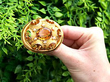 Gold Citrine Brooch UK Outside